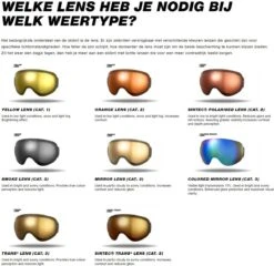 Sinner Skibril Unisex -Ski Gemeenschap 1200x1166