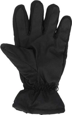 Heatkeeper Heren Ski Handschoenen Zwart -Ski Gemeenschap 759x1200